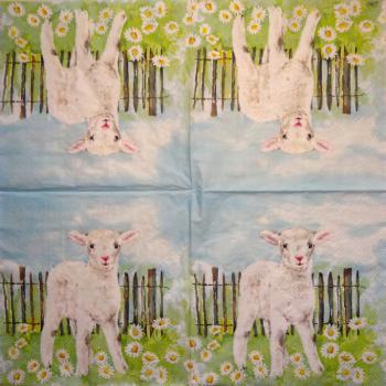 011 Sheep - 3-ply (11)